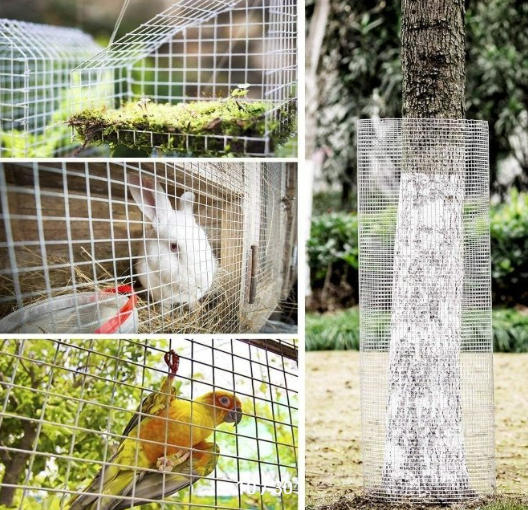 How to Extend the Service Life of Wire Mesh Fence in Outdoor Applications